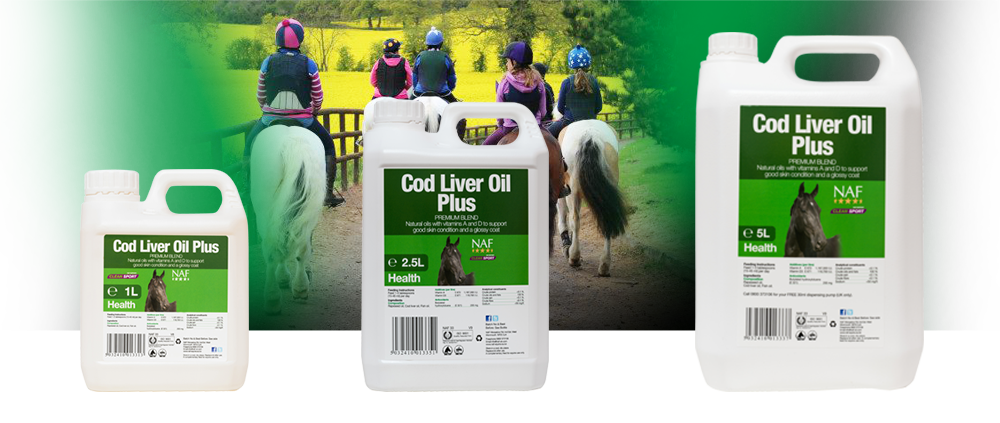 NAF Cod Liver Oil