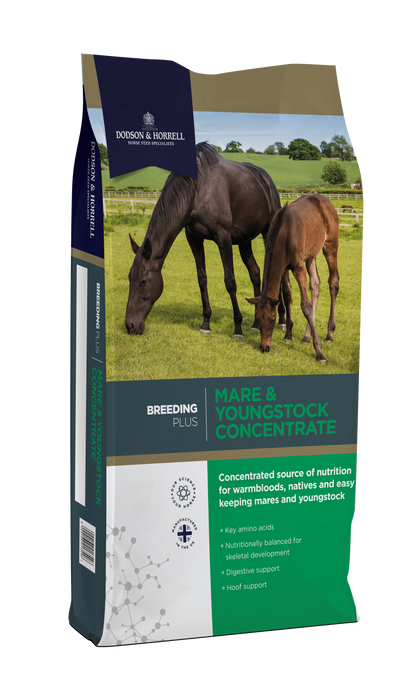 Dodson & Horrell Mare & Youngstock Concentrate 20kg