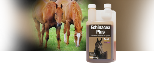 NAF Echinacea Liquid