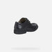 Geox Federico Lace Junior Shoes