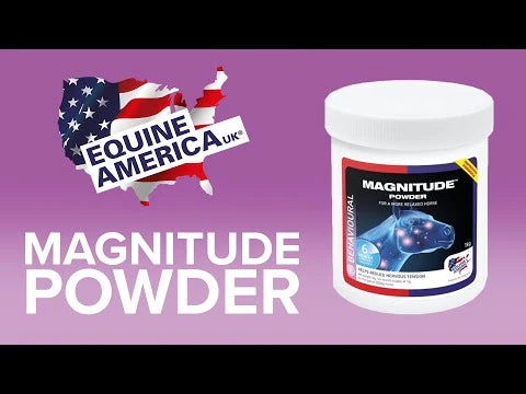 Equine America Magnitude
