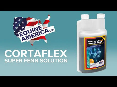 Equine America CortaflexÂ® HA Super Fenn Solution