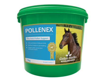Global Herbs Pollenex Powder