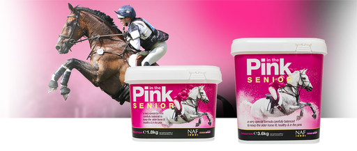 NAF Senior Pink Powder