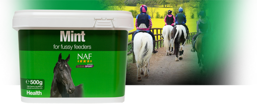 NAF Mint