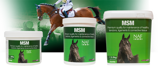 NAF Pure MSM