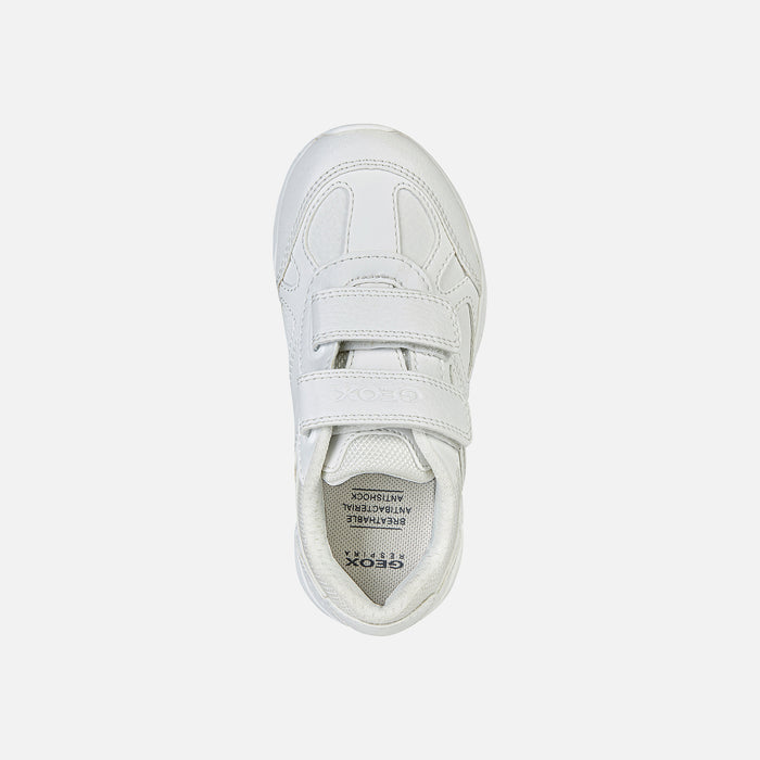 Geox Pavel Sneakers White