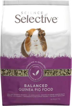 Science Selective Guinea Pig