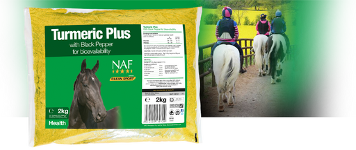 NAF Turmeric Plus Refill