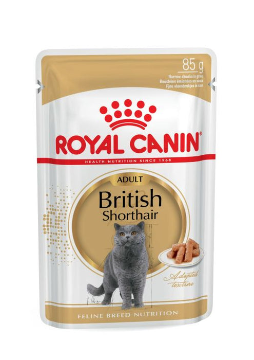Royal Canin Adult British Shorthair Narrow Chunks In Gravy 12x85g